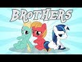 Brothers ¨MLP ANIMATION¨ reuploaded