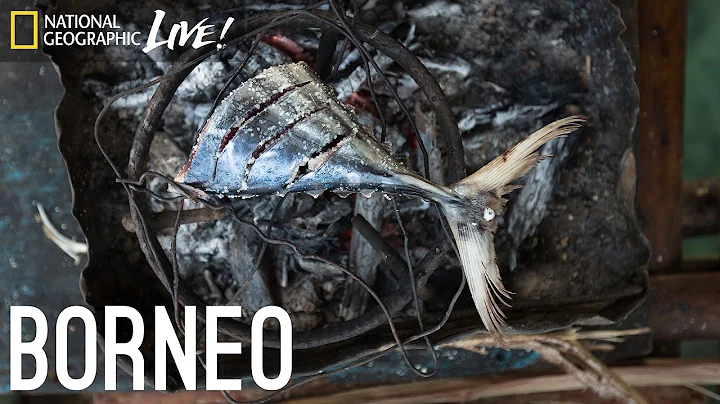 We Are What We Eat: Borneo | Nat Geo Live