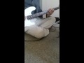 忌野清志郎 The dock of the bay Bass cover