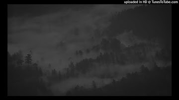 pyrex whippa - adios (slowed + reverb)