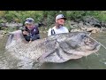 Ho pescato un gigantesco pesce siluro da 100 kg sul fiume Rodano by Yuri Grisendi