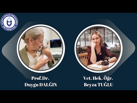 Video: Veteriner: Her Danimarkalı Sahibin Bilmesi Gereken 3 Şey