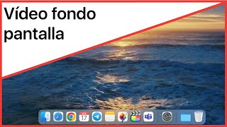 ¿Cómo poner un vídeo de fondo de pantalla en Mac? 🖥️ by K-tuin, tiendas Apple 4,388 views 6 months ago 1 minute, 34 seconds