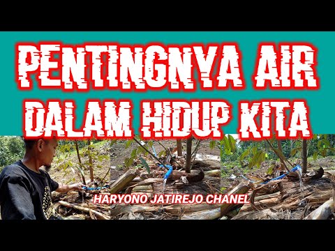 Video: Apa Yang Bisa Anda Hemat Di Musim Panas?