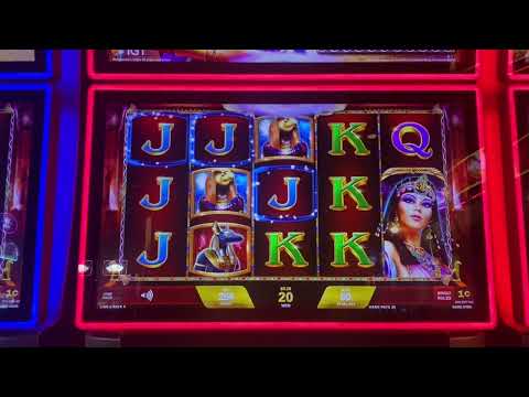 Started making money. #vlog #wifimoney #gambling #explore #tranding #crypto #casino #motivation #mon