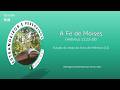 Estrangeiros e Peregrinos - Episódio 918: A Fé de Moisés (Hebreus 11:23-28) #biblia #hebreus11