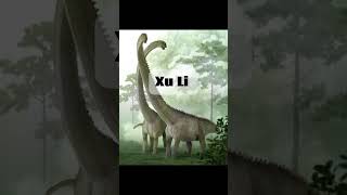 Creature of the Day: Ruyangosaurus #sauropod #china