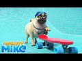 MIGHTY MIKE 🐶 Pool safety tips 💧 - Cartoon Animation for Kids