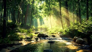 Melody of the Woodland Path The Flow of Streams, Birdsong, and the Dance of Shadows and Light