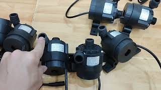 Máy Bơm Tuần Hoàn 24V 65W Và 24V 100W Mẫu Mới Hàng Về