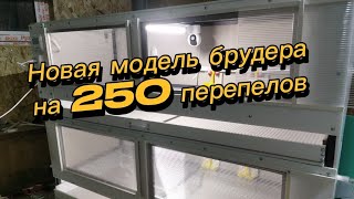 Новая модель брудера на 250 перепелов с вайфай управлением.