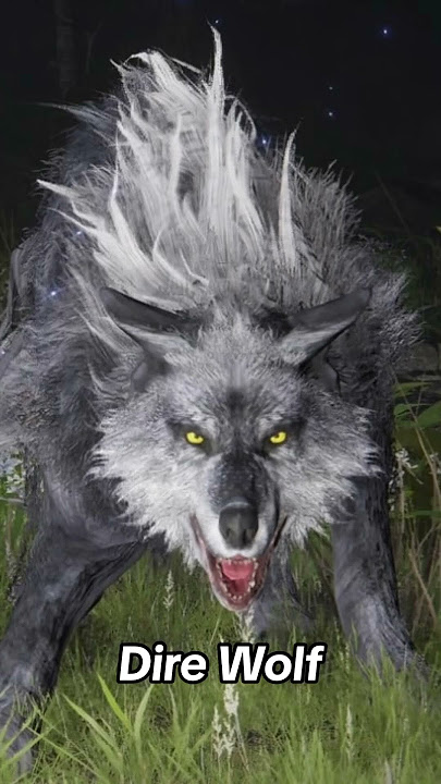 Animals That Went Extinct