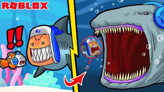 DARI IKAN NEMO KECIL AKU BEREVOLUSI JADI IKAN HIU MEGALODON RAJA LAUTAN DI ROBLOX!!!