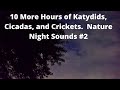 10 More Hours of Katydids Cicadas Crickets Sleep Study Relax Nature Video Nature Night Sounds #2