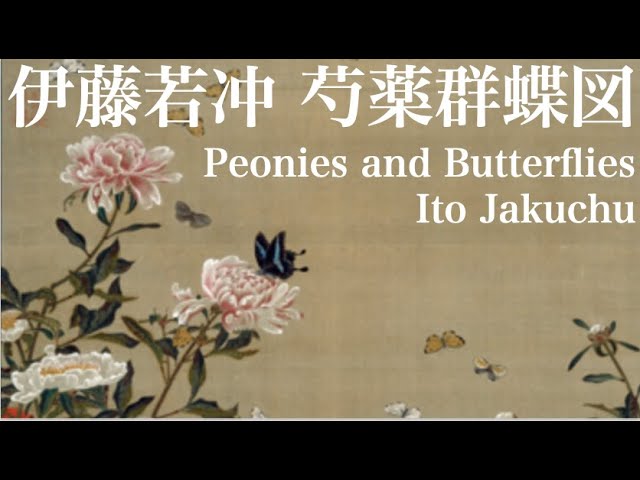 伊藤若冲《芍薬群蝶図》Peonies and Butterflies by Ito Jakuchu - YouTube