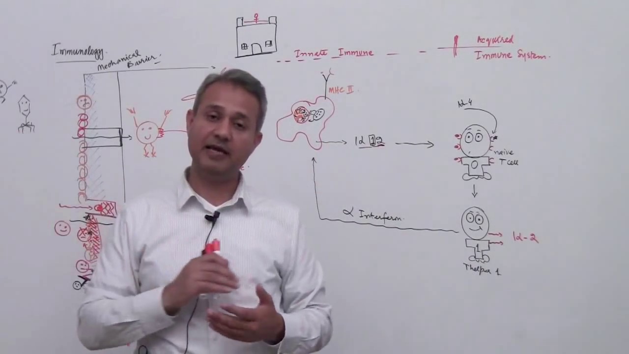 Immunology Lecture 1 Part 5 - YouTube