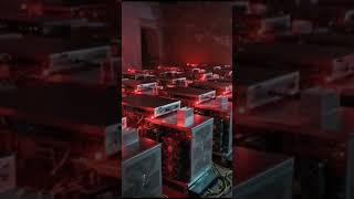 El pacto que controla los puertos #narcos #millionaire #viral
