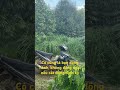 Farm Quang Lak