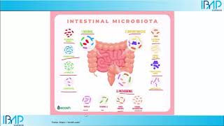 Quais são as bactérias boas e ruins do intestino e suas funções? | Microbiota intestinal | Disbiose