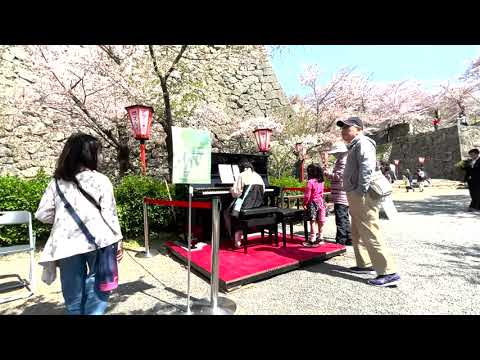 津山城に１日限定で設置されたストリートピアノで演奏する少女