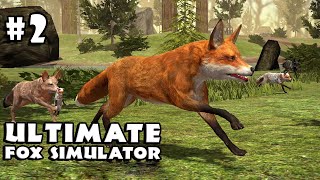 Ultimate Fox Simulator Android Gameplay Part 2 [HD] screenshot 4