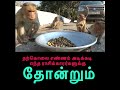 தற்கொலை எண்ணம் அடிக்கடி எந்த ராசிக்காரர்களுக்கு தோன்றும்EWS
