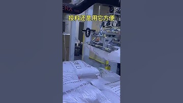 Palletizing Robot & Depalletizing System | Automatic Column Palletizer Machine
