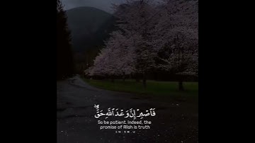 تلاوة إبداعية للشيخ ياسر الدوسري. لاواخر سورة الروم