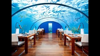 Top 10 περίεργα εστιατόρια | Τρως 10 μέτρα κάτω από την θάλασσα
