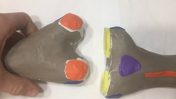 Knee Model Construction