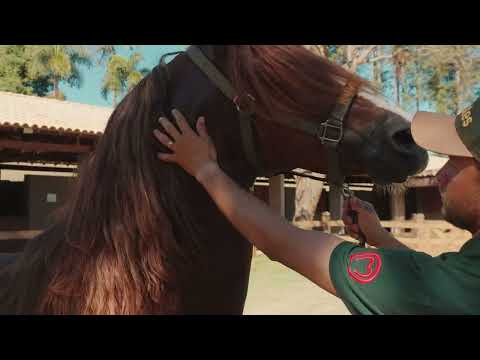 Institutional - HARAS