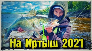 Иртыш 2021 Трофейный Судак Щуки рвут приманки в клочья Рыбалка на 3 дня 