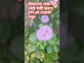 মিজানের পাল্লা ভারী করার দোয়া। #subscribe #viralvideo #shortvideo #waz #ytshorts #shortsfeed
