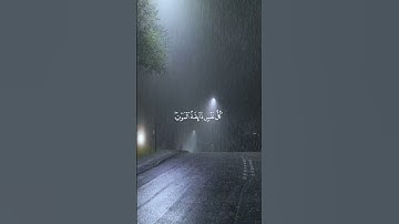 القارئ : عبد الرحمن مسعد ﴿ كُلُّ نَفْسٍ ذَائِقَةُ الْمَوْتِ ۖ ثُمَّ إِلَيْنَا ﴾ [ سورة العنكبوت
