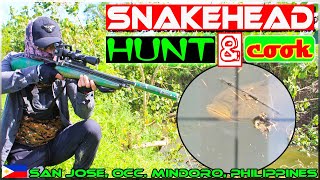 EP38 - Snake head (Dalag) Hunt and Cook Using Air Rifle {Pocherong Dalag}