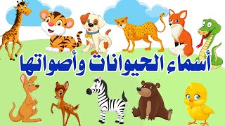 أسماء الحيوانات بالانجليزية مع أصواتها | جميل جدا ومسلي للأطفال- الحيوانات للاطفال