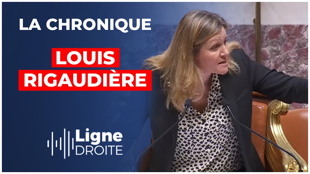 Mensonges et trahisons : la Macronie n'a plus de limite ! - Louis Rigaudière