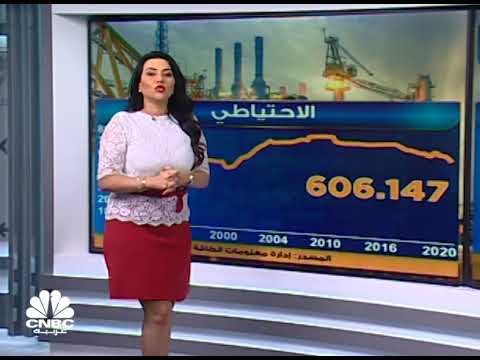 أميركا تناشد بعض الدول بالإفراج عن احتياطياتها النفطية للضغط على الأسعار فهل من مجيب