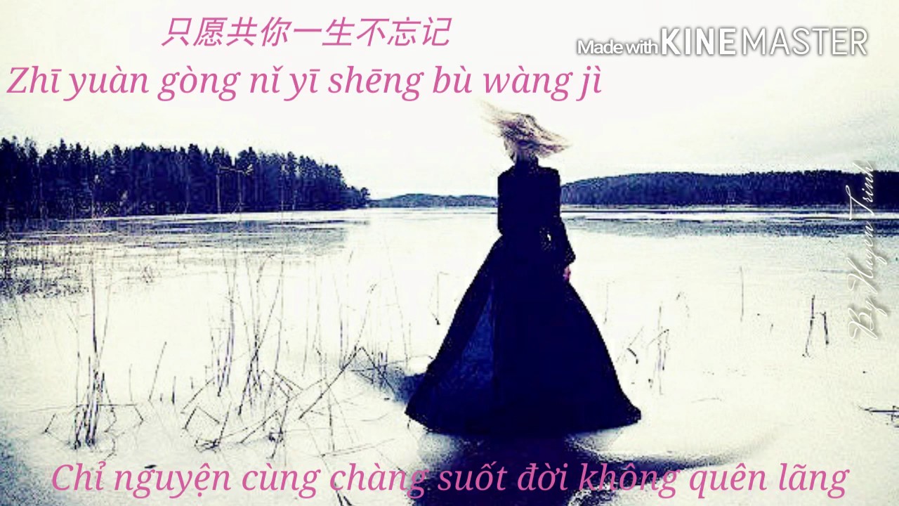 [Vietsub - Pinyin] Tương Tư Dẫn - Đổng Trinh | 相思引 - 董贞