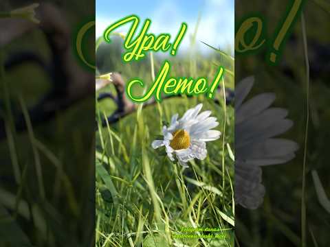 #музыкальнаяоткрытка #длявасдрузья #доброеутро #видеоролики #сдобрымутром #доброеутрооткрытки #лето
