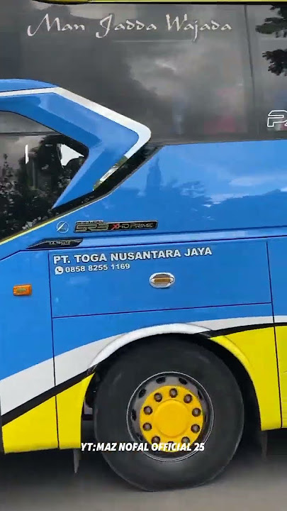 BUS TOGA TRANS TELOLET BASURI DAV MUSICAL AIRHORN #basuri #teloletbasuri #davmusicalairhorn