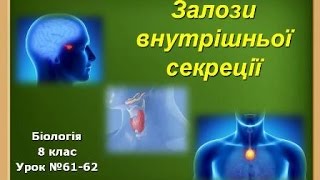 Залози внутрішньої секреції Залози внутрішньої секреції