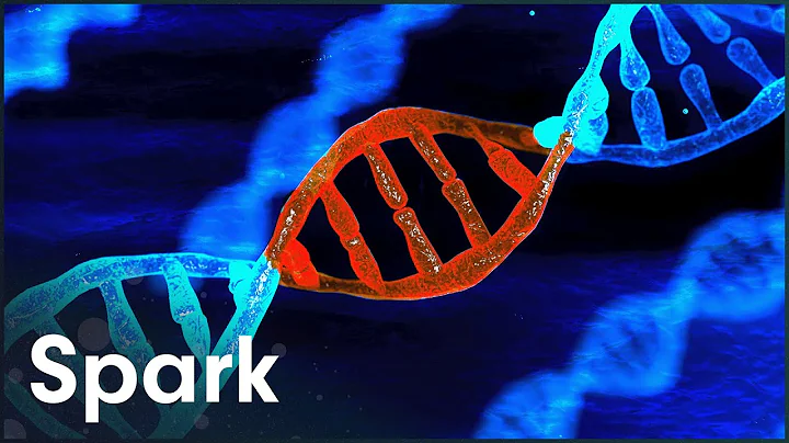 The Ethical Dilemma Of Genome Editing | The CRISPR Revolution