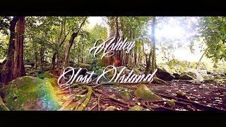Video thumbnail of "ASHLEY - LOST ISLAND (The HandCart Meets Tahiti)"