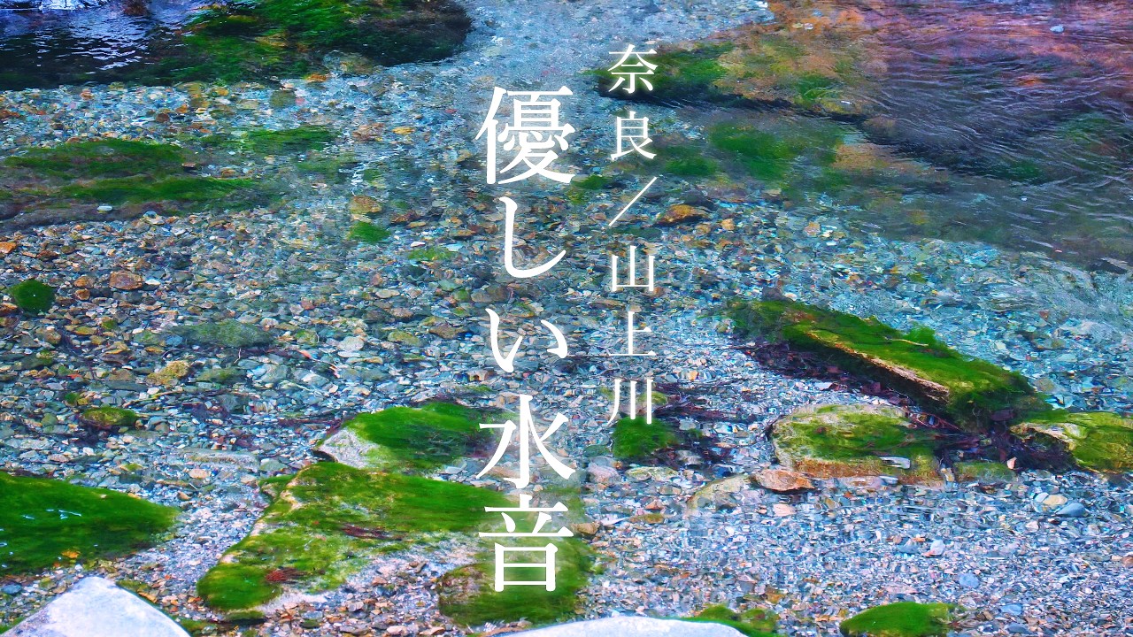 【睡眠用BGM】奈良の秘境「山上川」優しい川の音でぐっすり眠れる【4K映像】