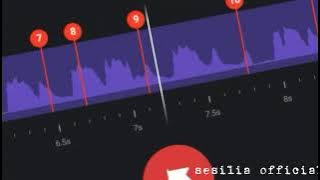 DJ bambimbum 30 detik||story wa