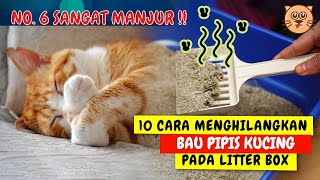 10 CARA AMPUH MENGHILANGKAN PIPIS KUCING TIPS HILANGKAN BAU PIPIS KUCING YANG MEMBANDEL