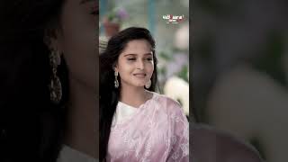 Vaayyaarie Sareesలో కొత్త చీరల కలెక్షన్స్ | Ladies Favorite Designs #SilkSarees #DesignerSarees