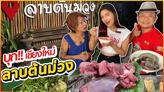 สาวเชียงใหม่!! ร้านลาบต้นม่วง งานนี้ยายชอบ!!