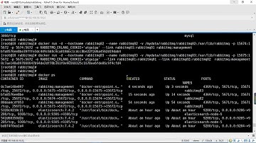 369、 集群 RabbitMQ镜像集群搭建